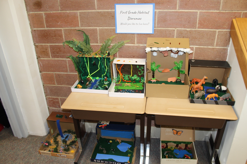 First Grade Habitats