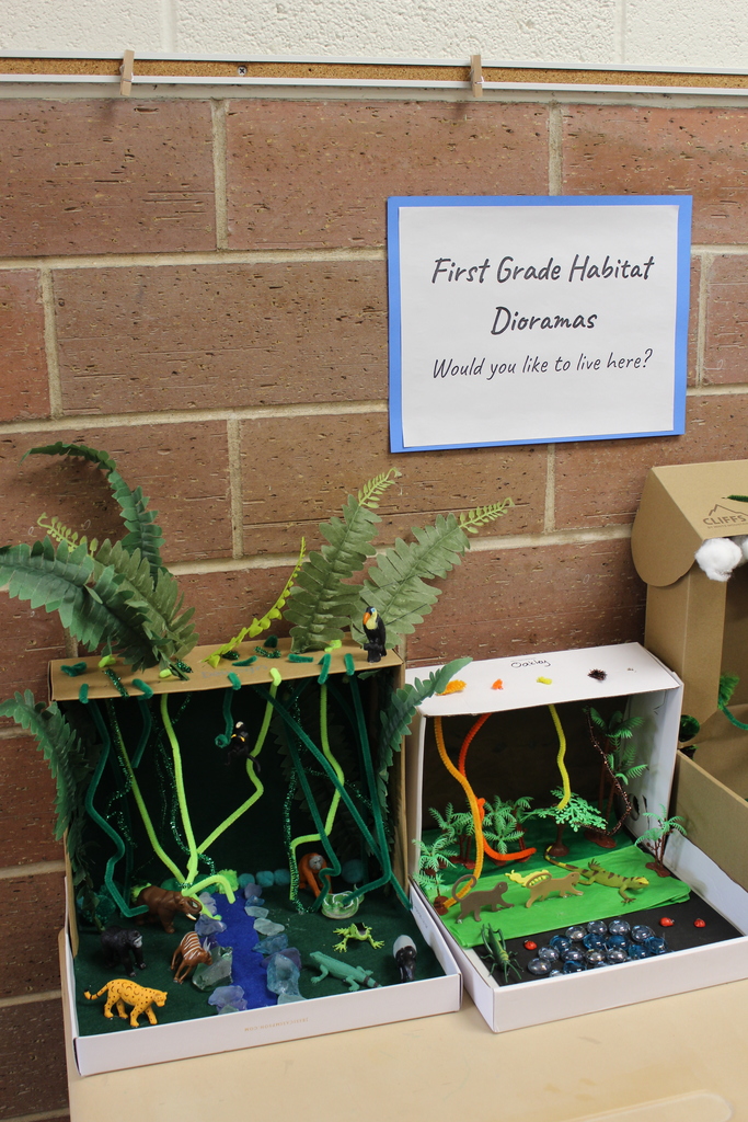 1st Grade Habitat Displays