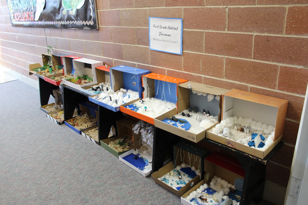 1st Grade Habitat Displays