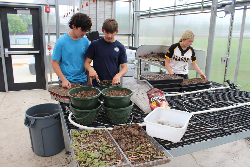 Students working on potting plants