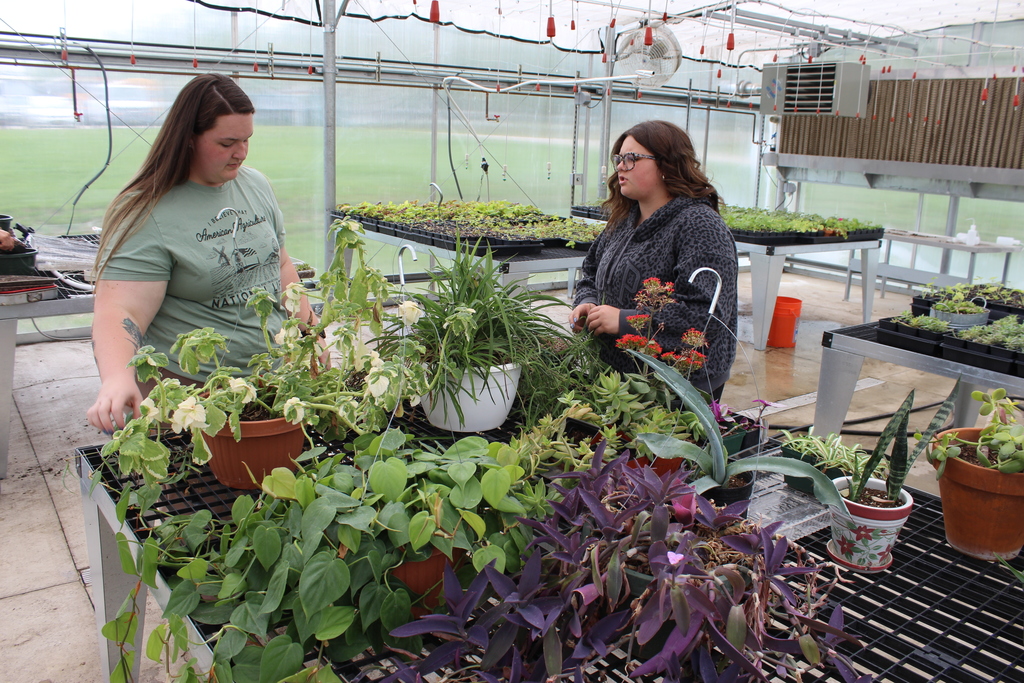 Teacher & student working on plants