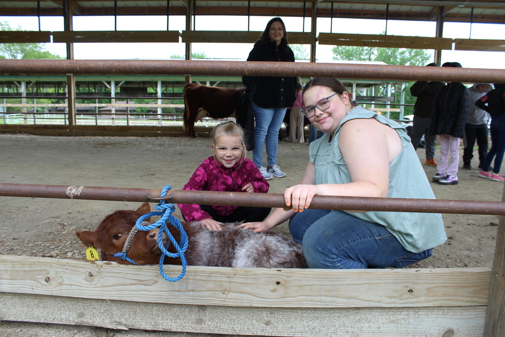 Baby Calf & Girl