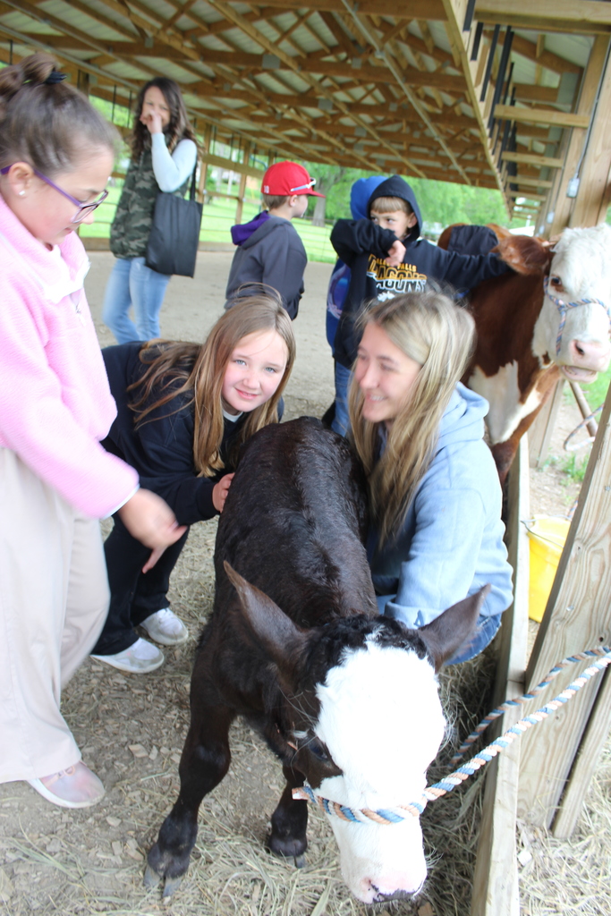 Baby Calf & Girls