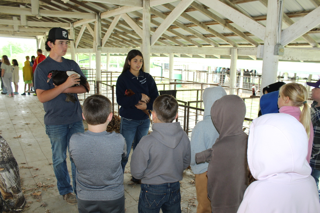 Poultry Presenters