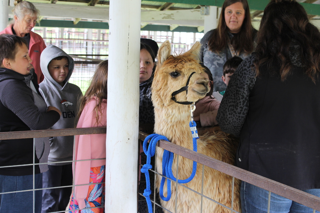 Llama Class