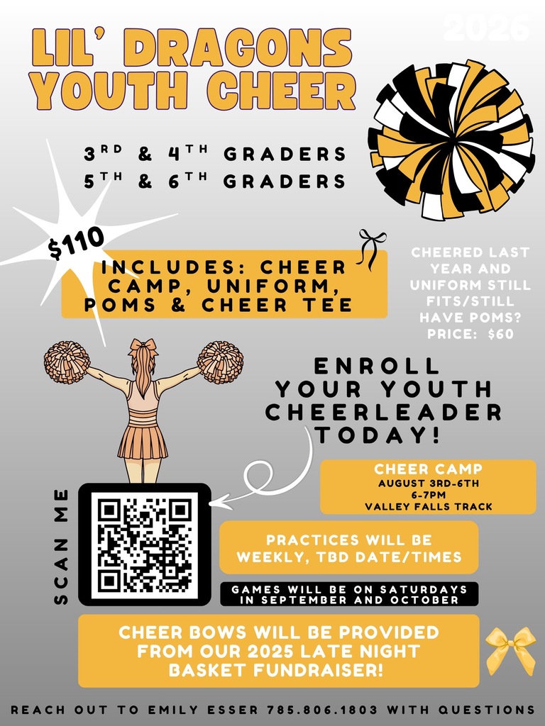 Youth Cheer Camp Flyer