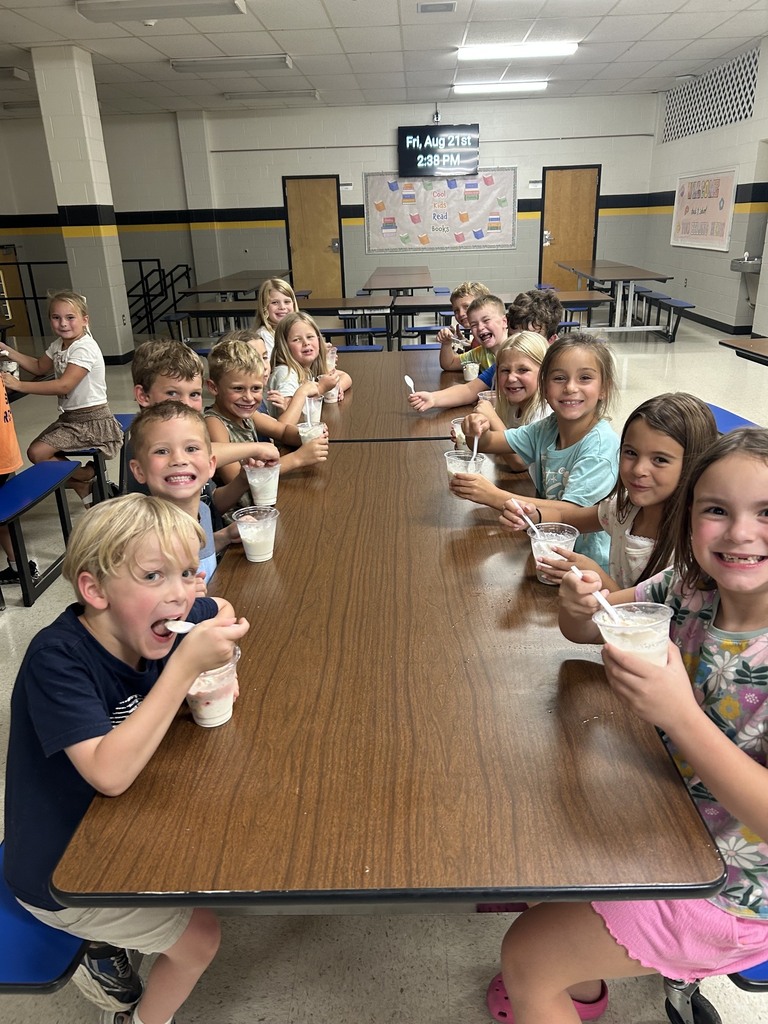 Ice Cream Lesson