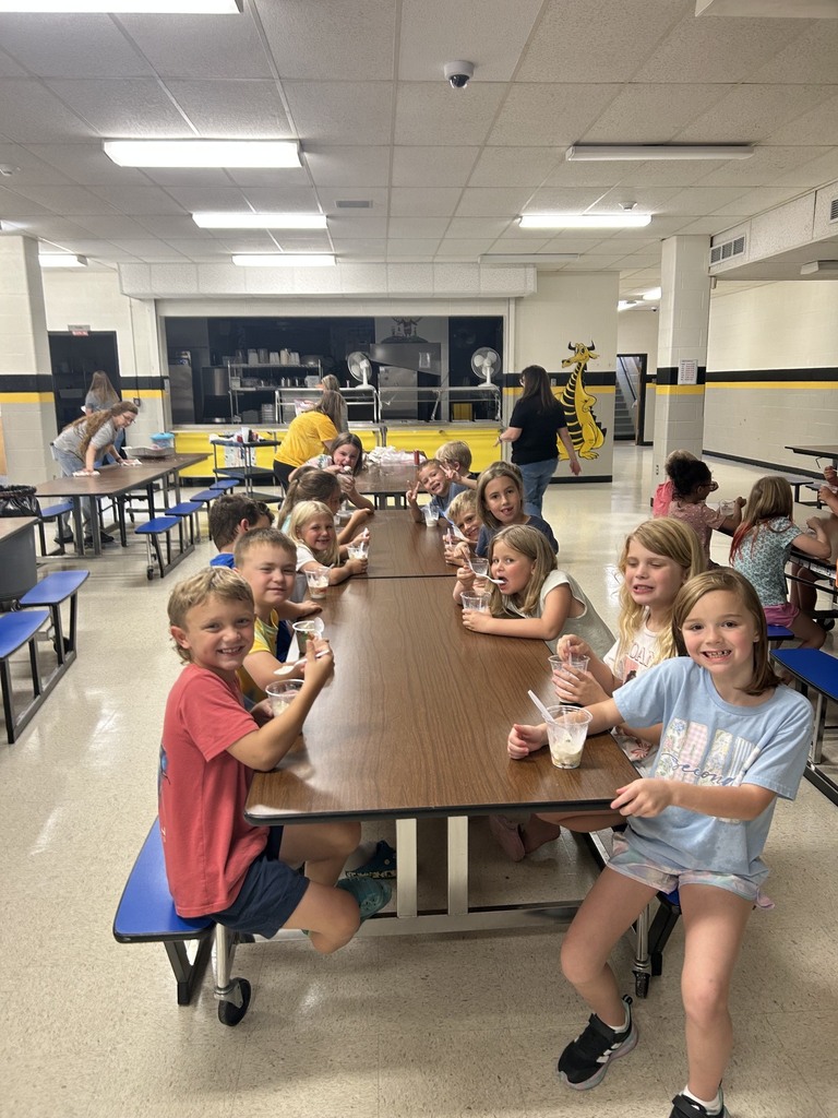 Ice Cream Lesson