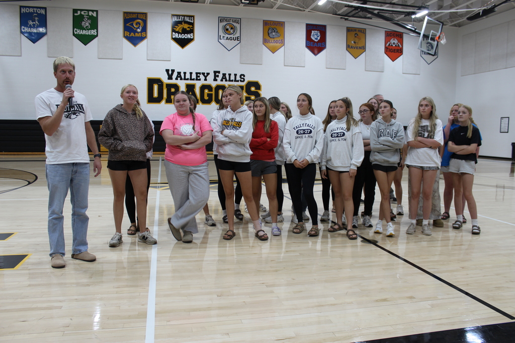 VB Team