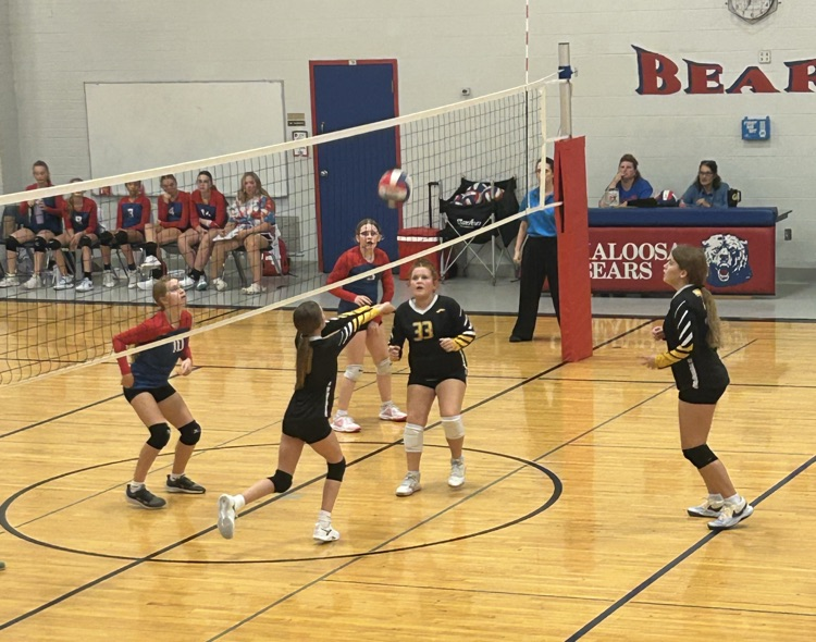 VB