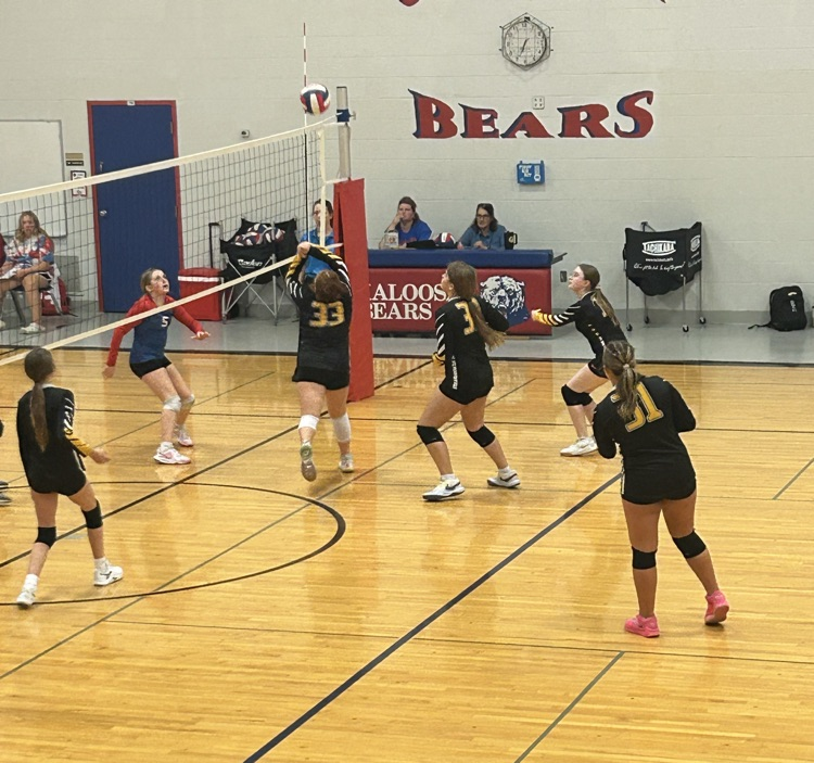 VB
