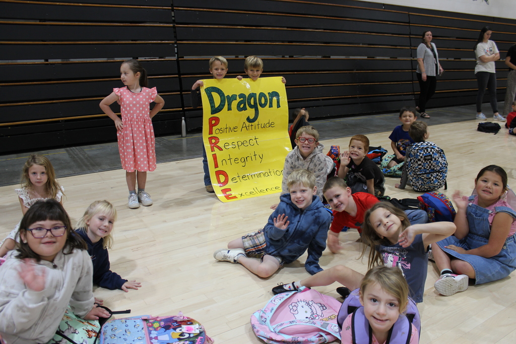 Little Dragons
