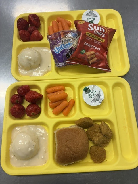 Lunch Trays