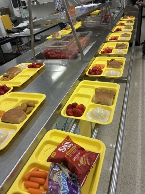 Trays lined up