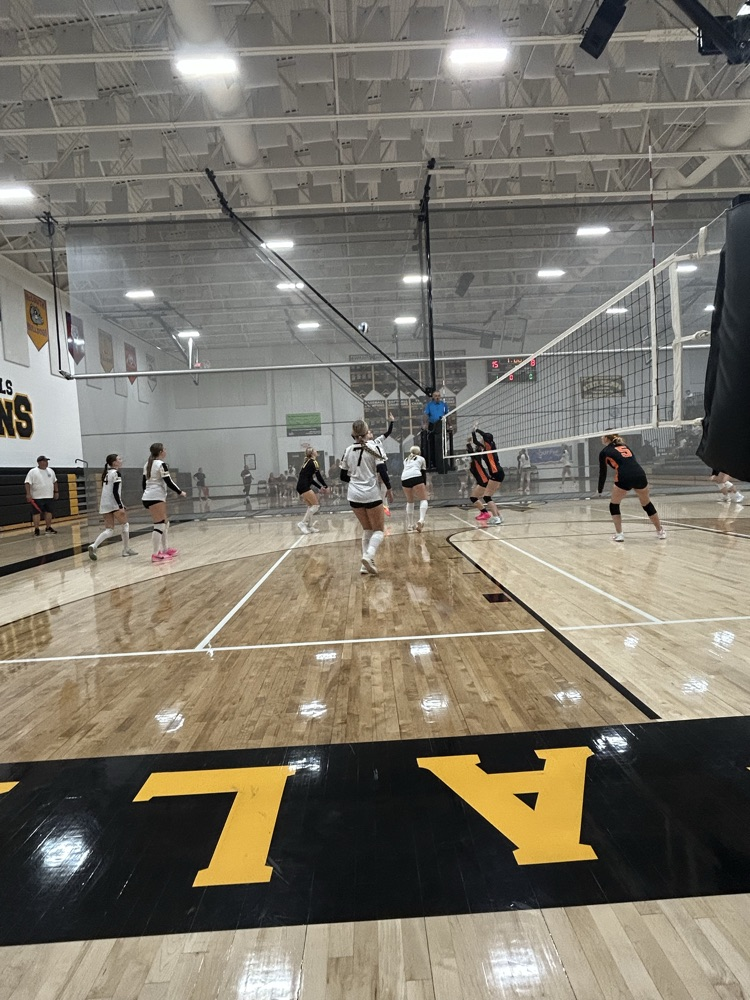 VB
