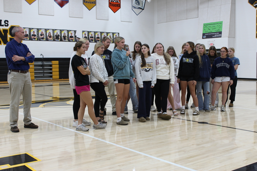 VB Team