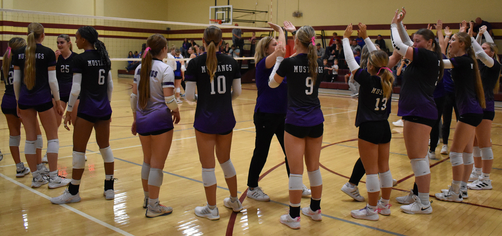 Regional Volleyball