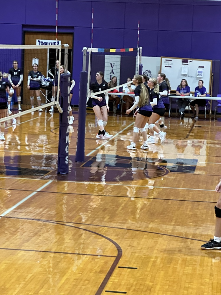 Mustang VB scrimmage