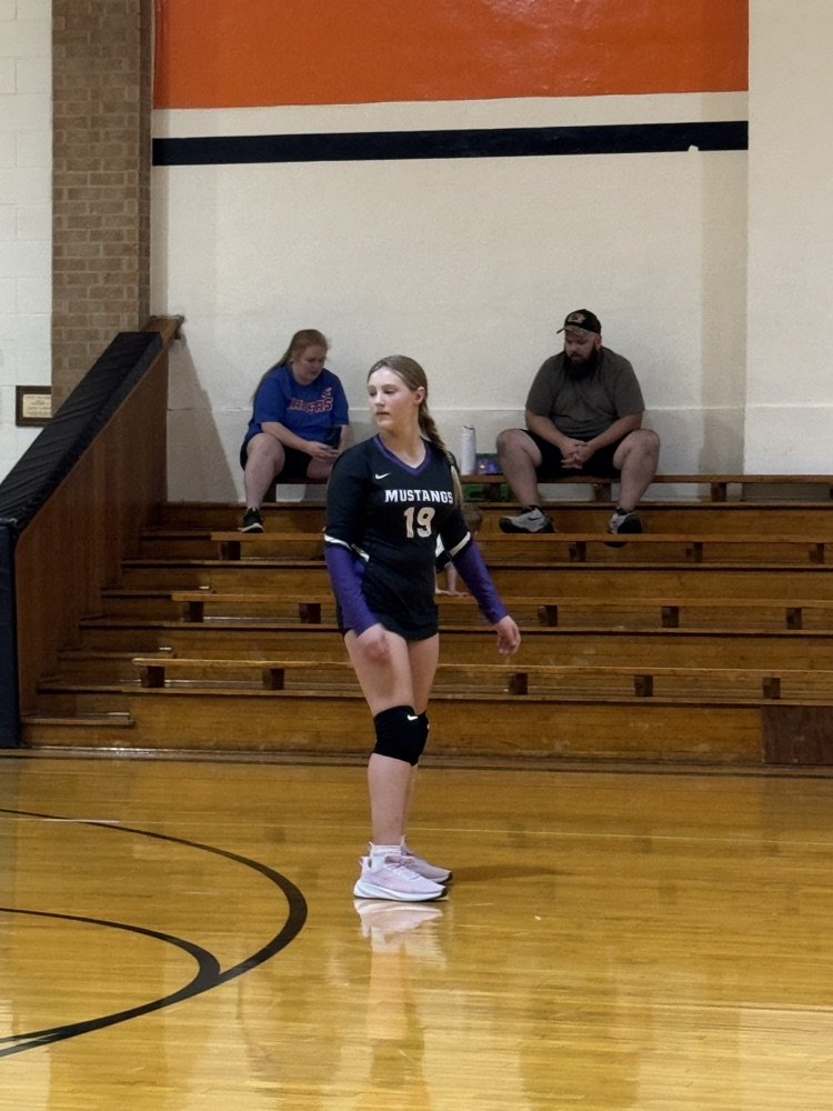 vb