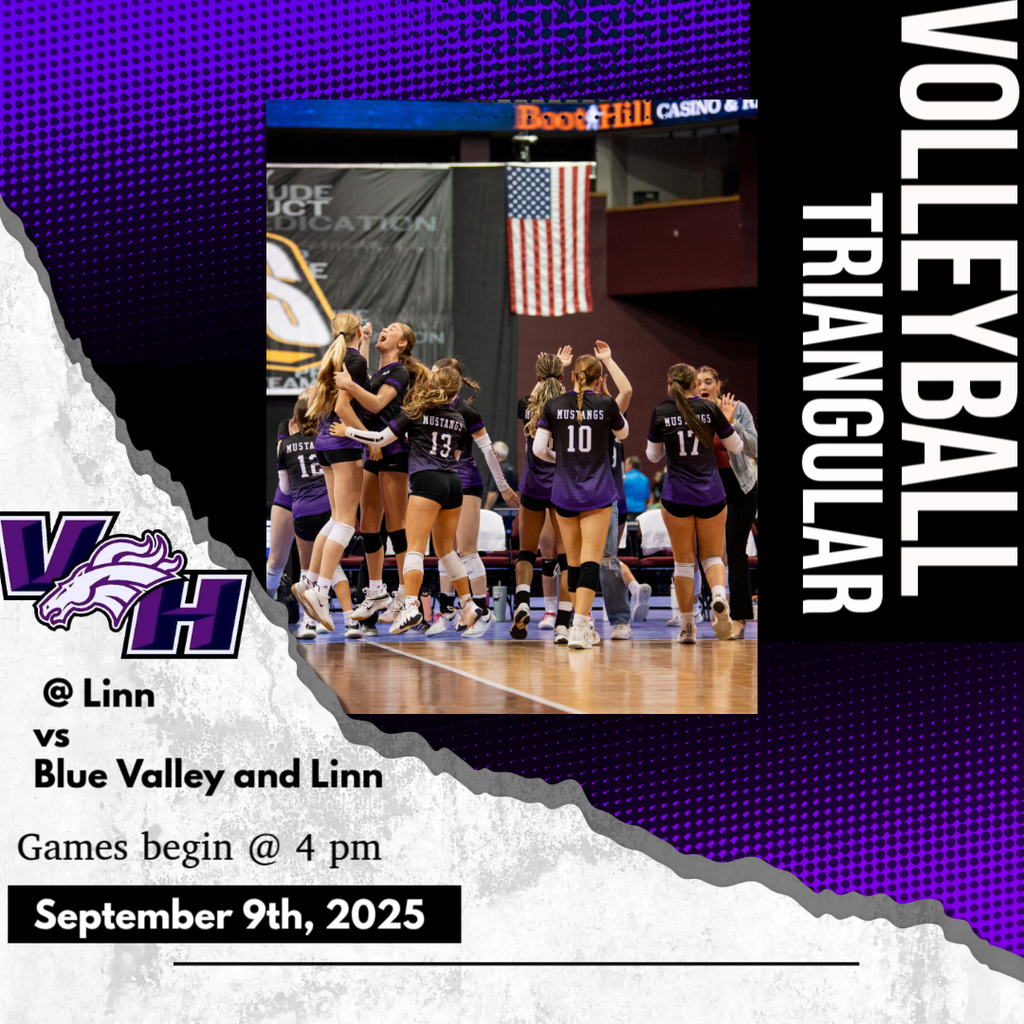 vb
