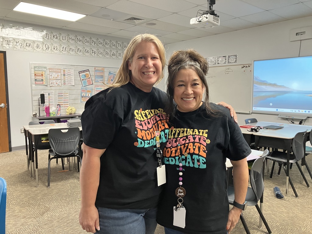 twin day