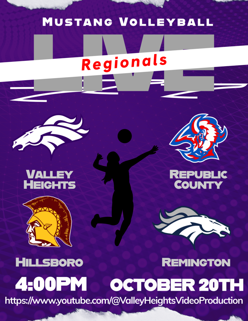 Flyer2