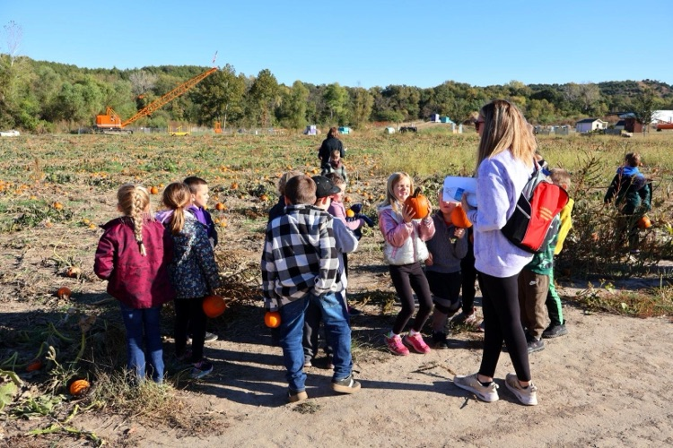pumpkin picking