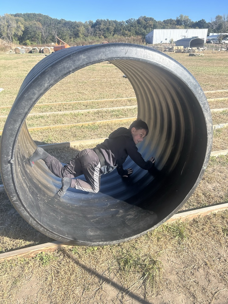 tire roll