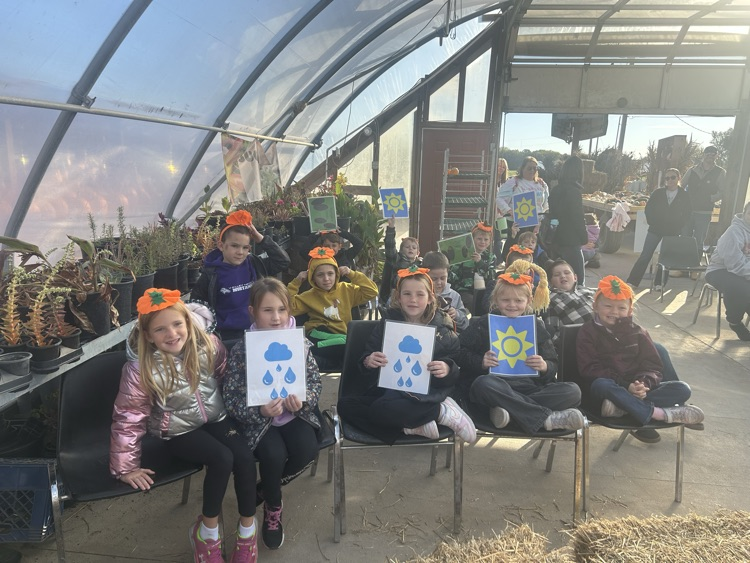 learning about growing pumpkins