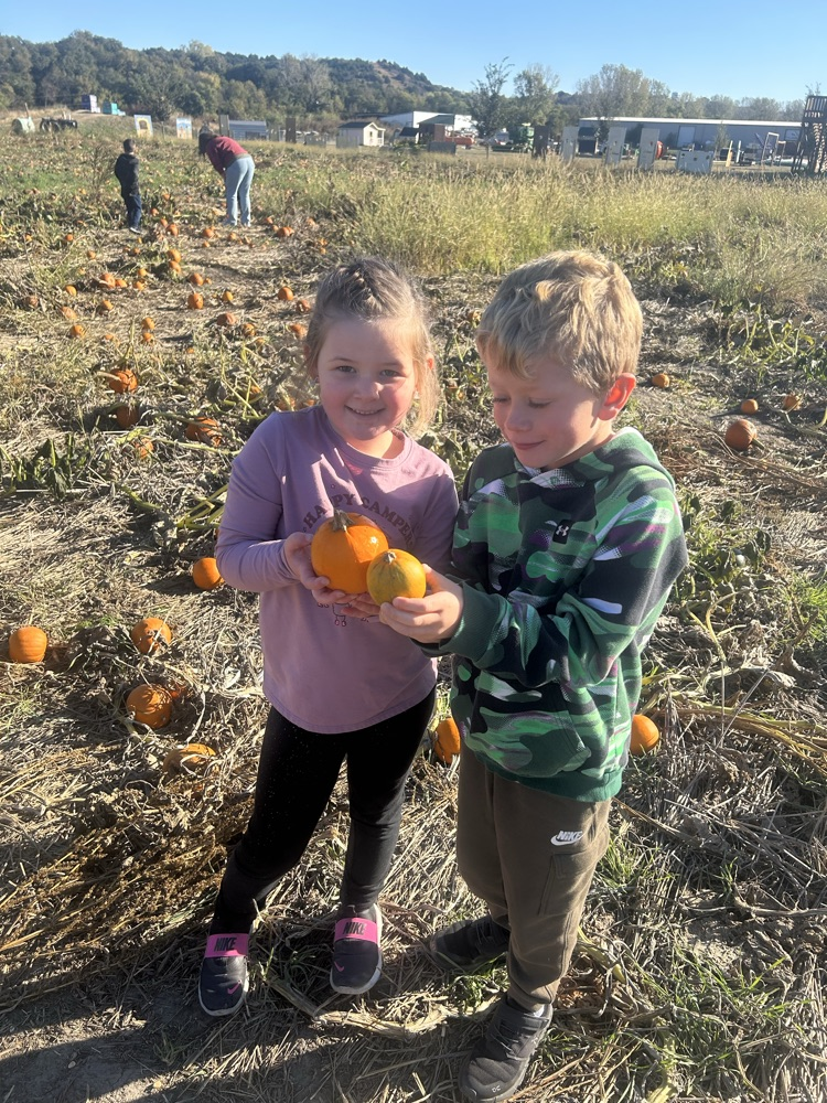 picking out a pumpkin