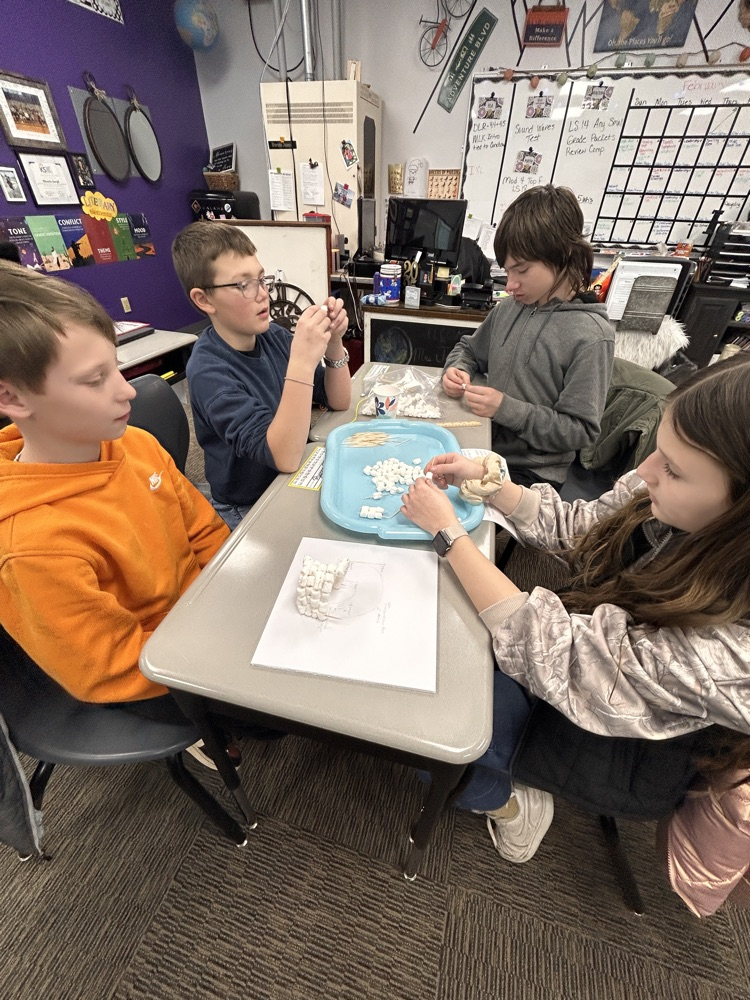 Looks like a good plan!!