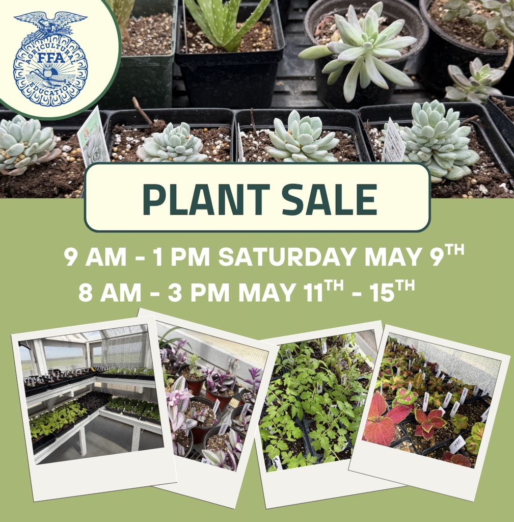 Plant sale