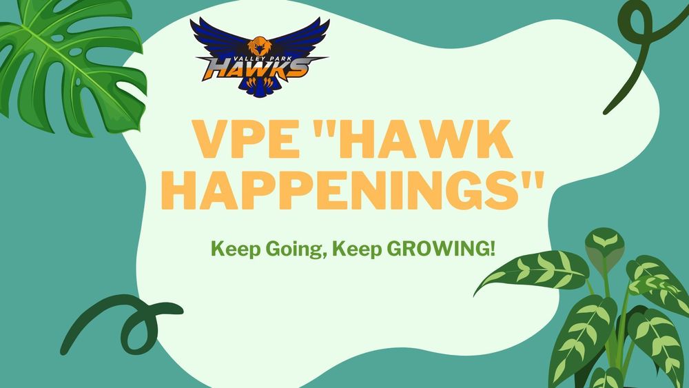 VPE Hawk Happening