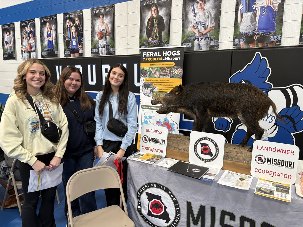 Students next to a wild hog