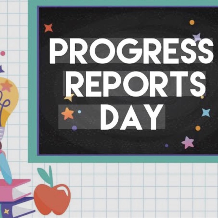 progress reports 