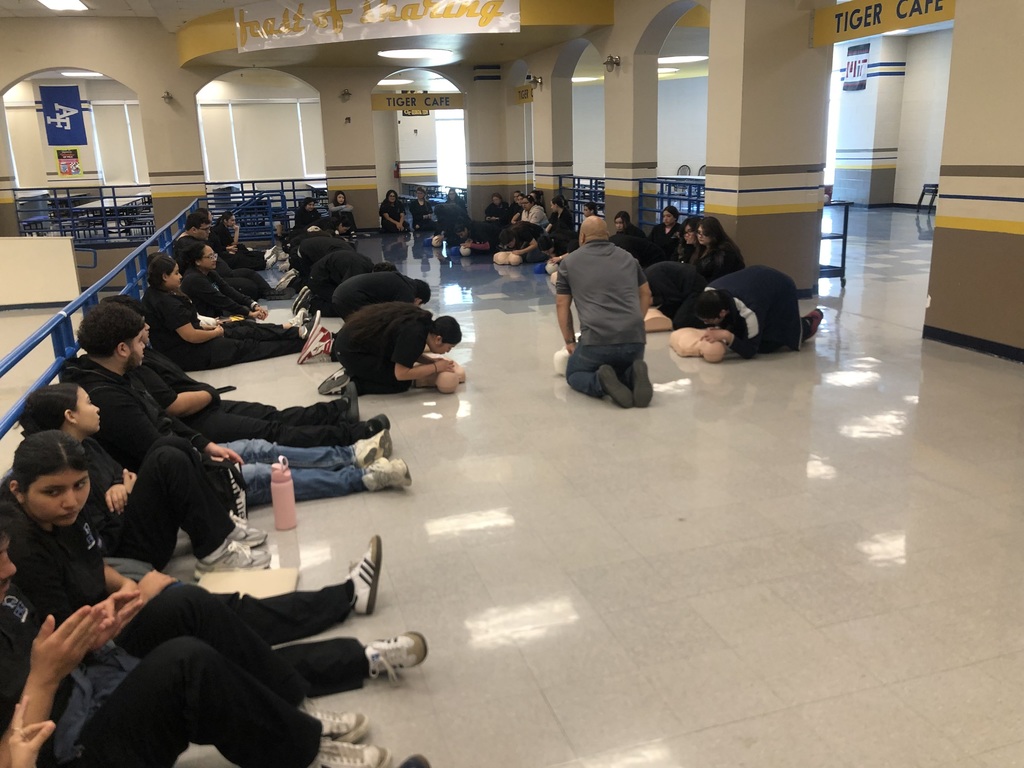 Nursing Program (CPR)