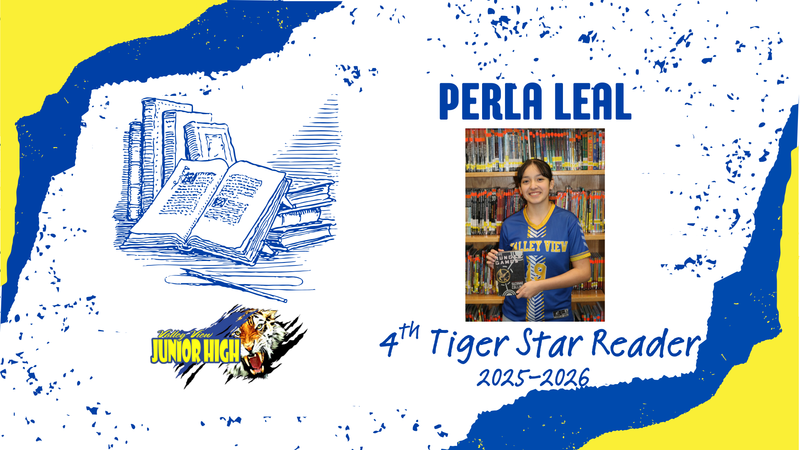 tiger star reader