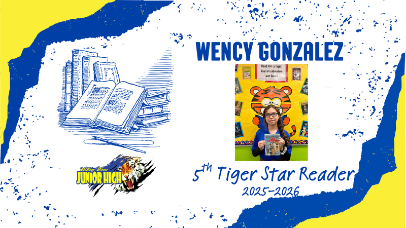 tiger star reader