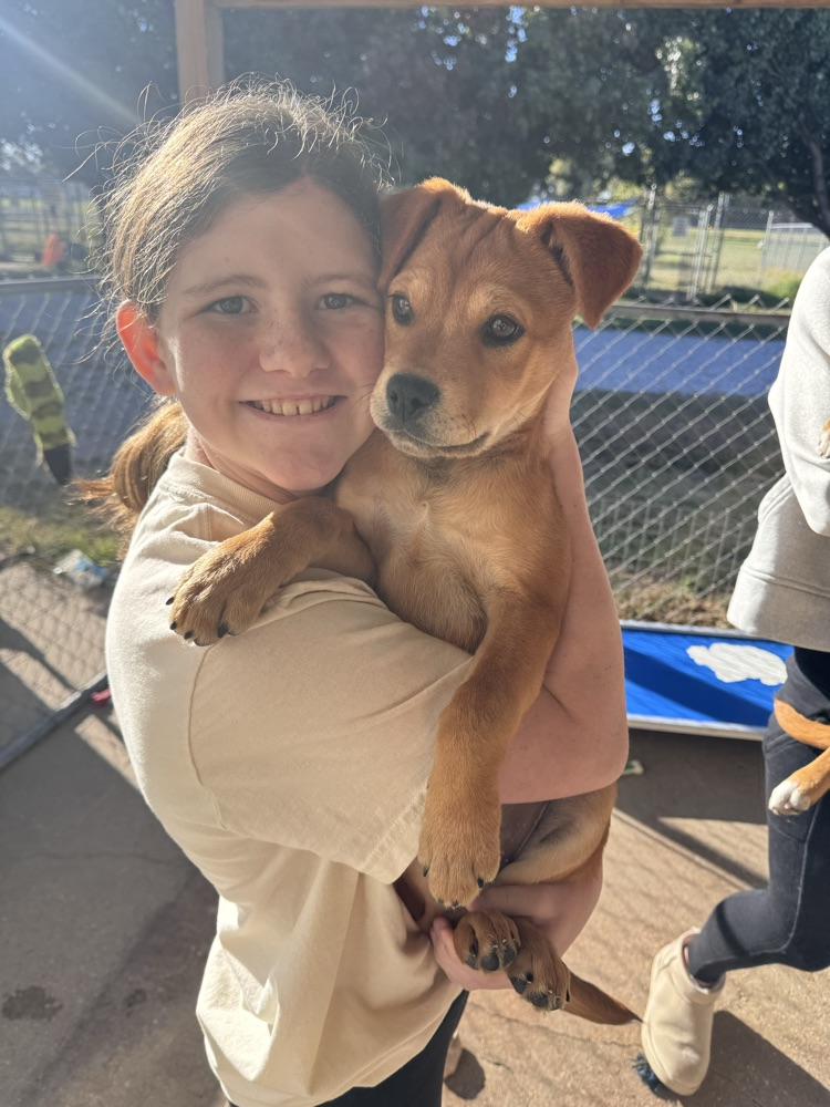 student holding dog
