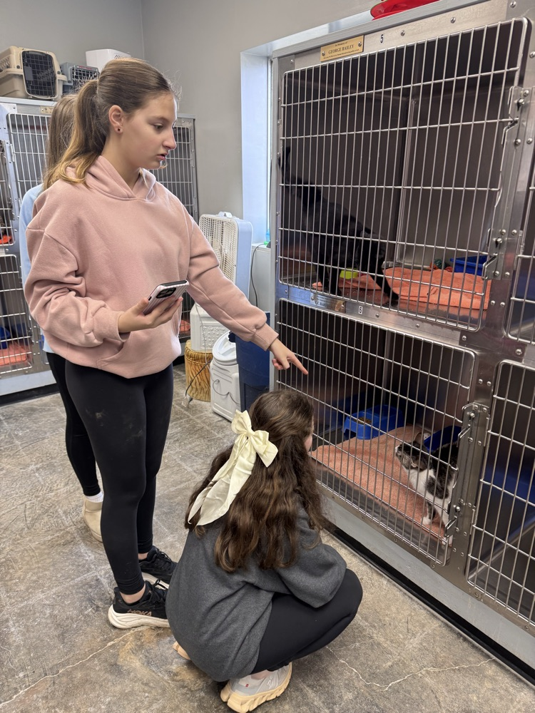 students by kennels