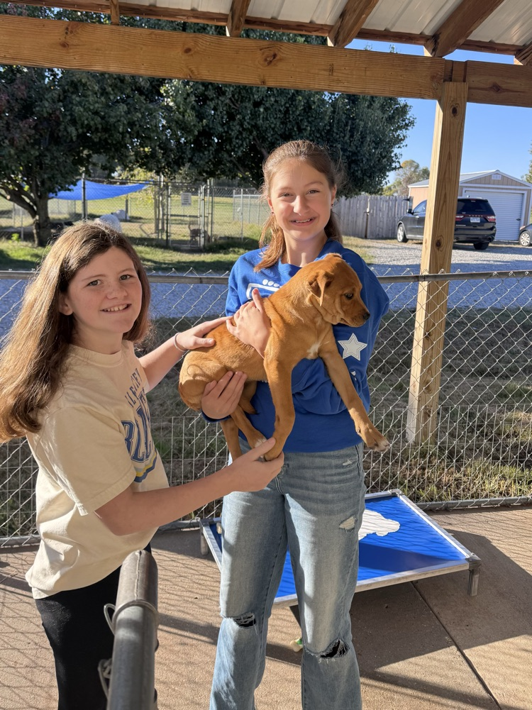 student holding shelter animals