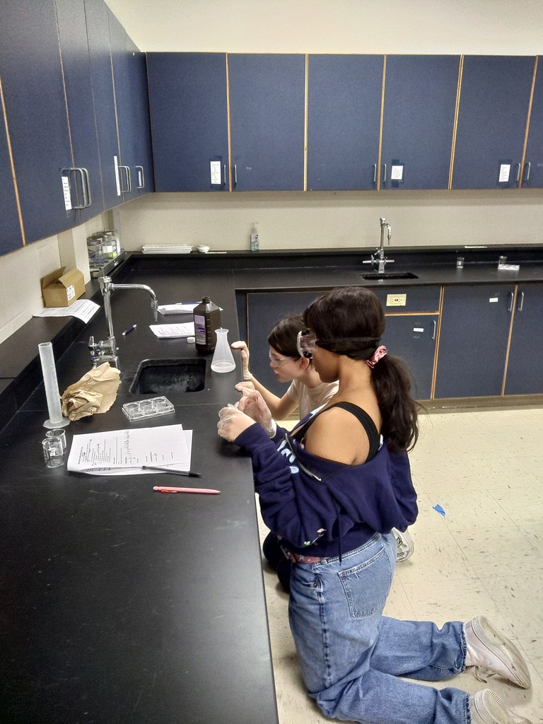 students in science lab examining their expierment