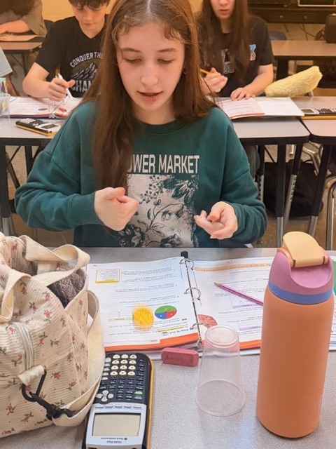 math student learning probability