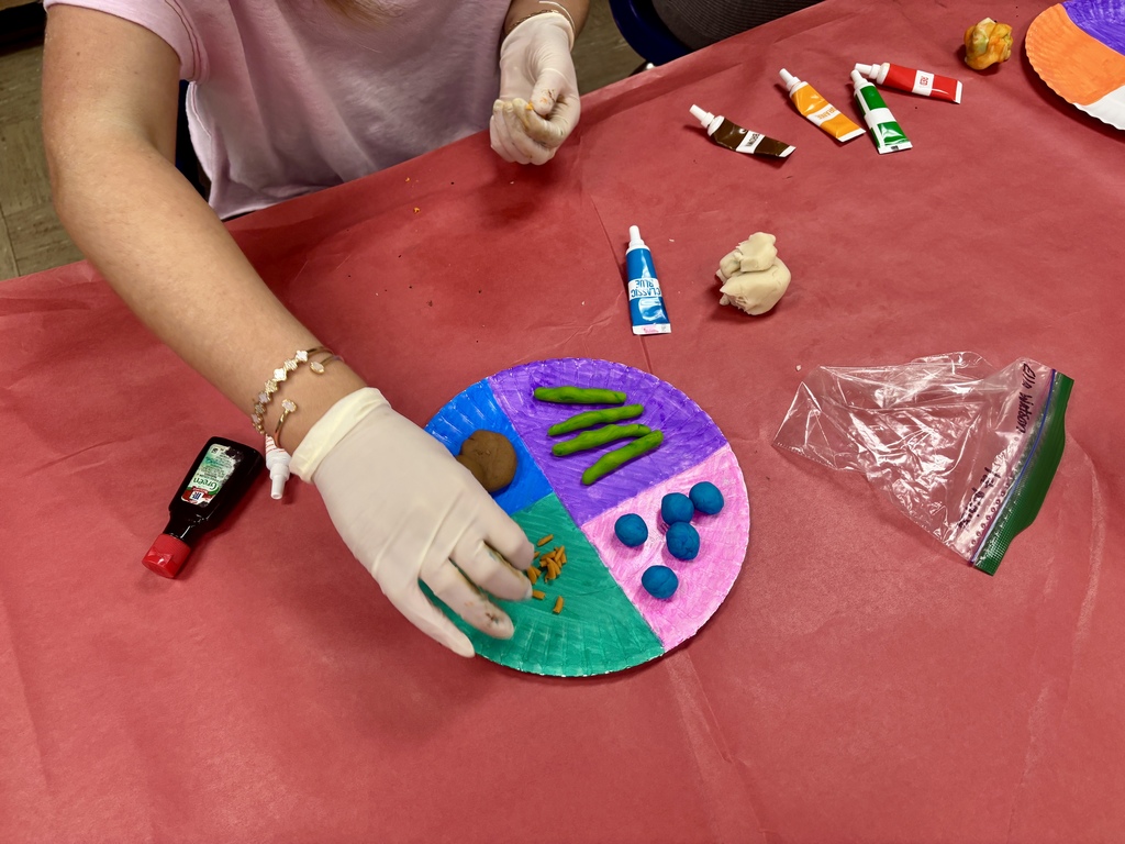 student plating Play-Doh foods