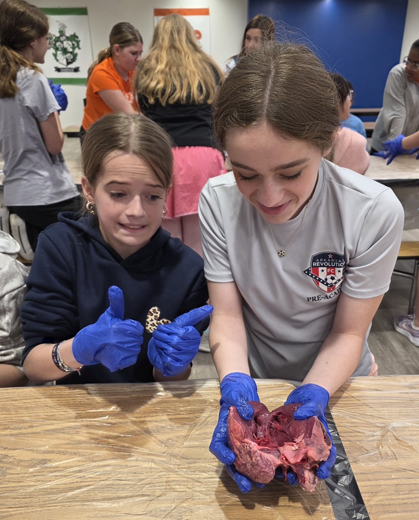 HeartandLungDissection