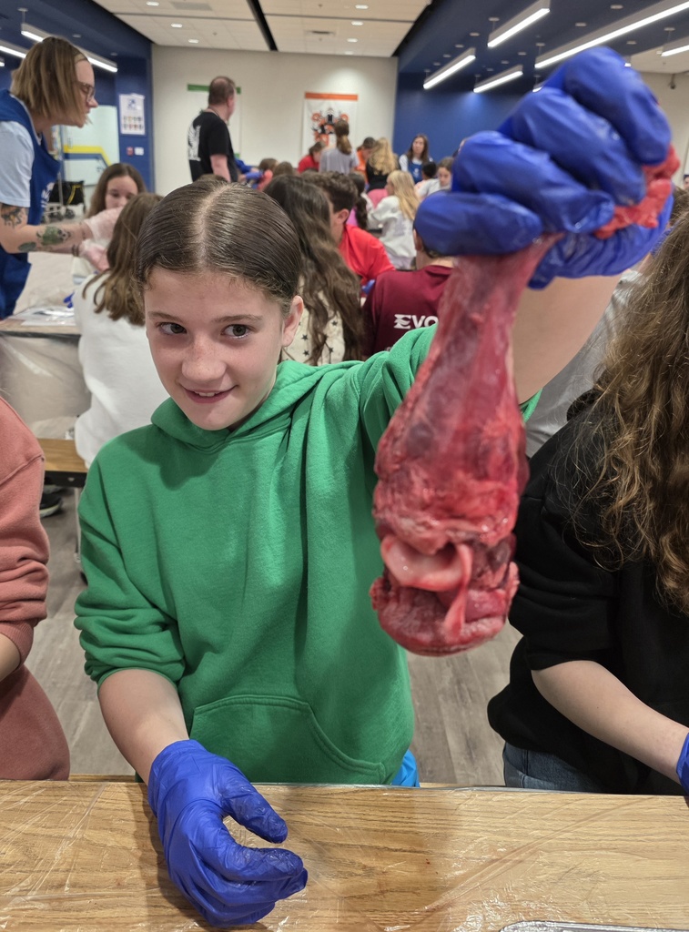 HeartandLungDissection