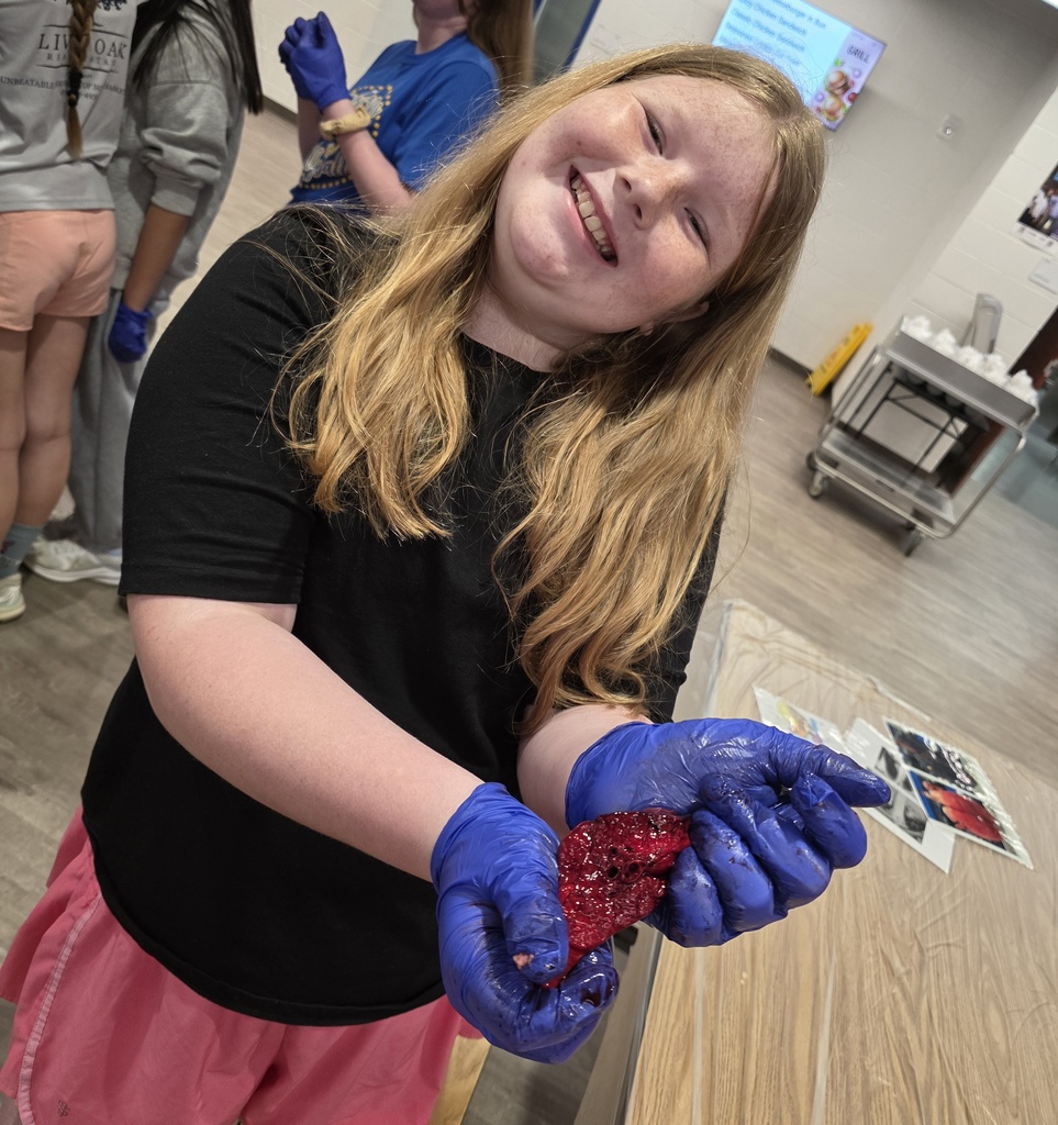 HeartandLungDissection