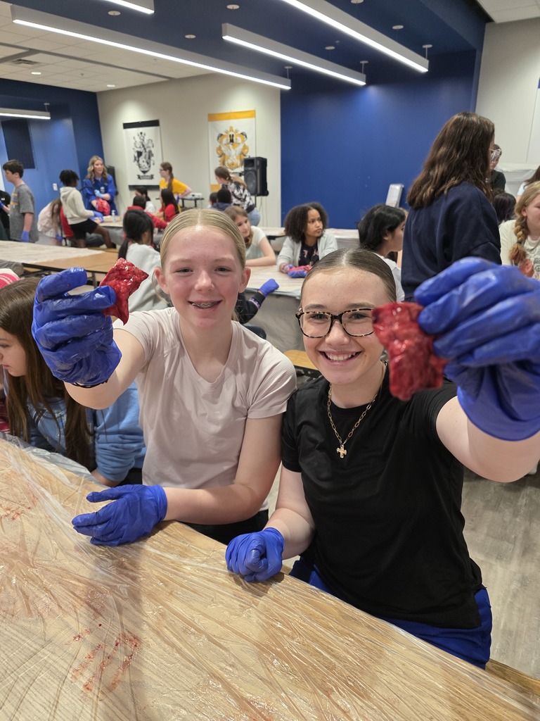 HeartandLungDissection