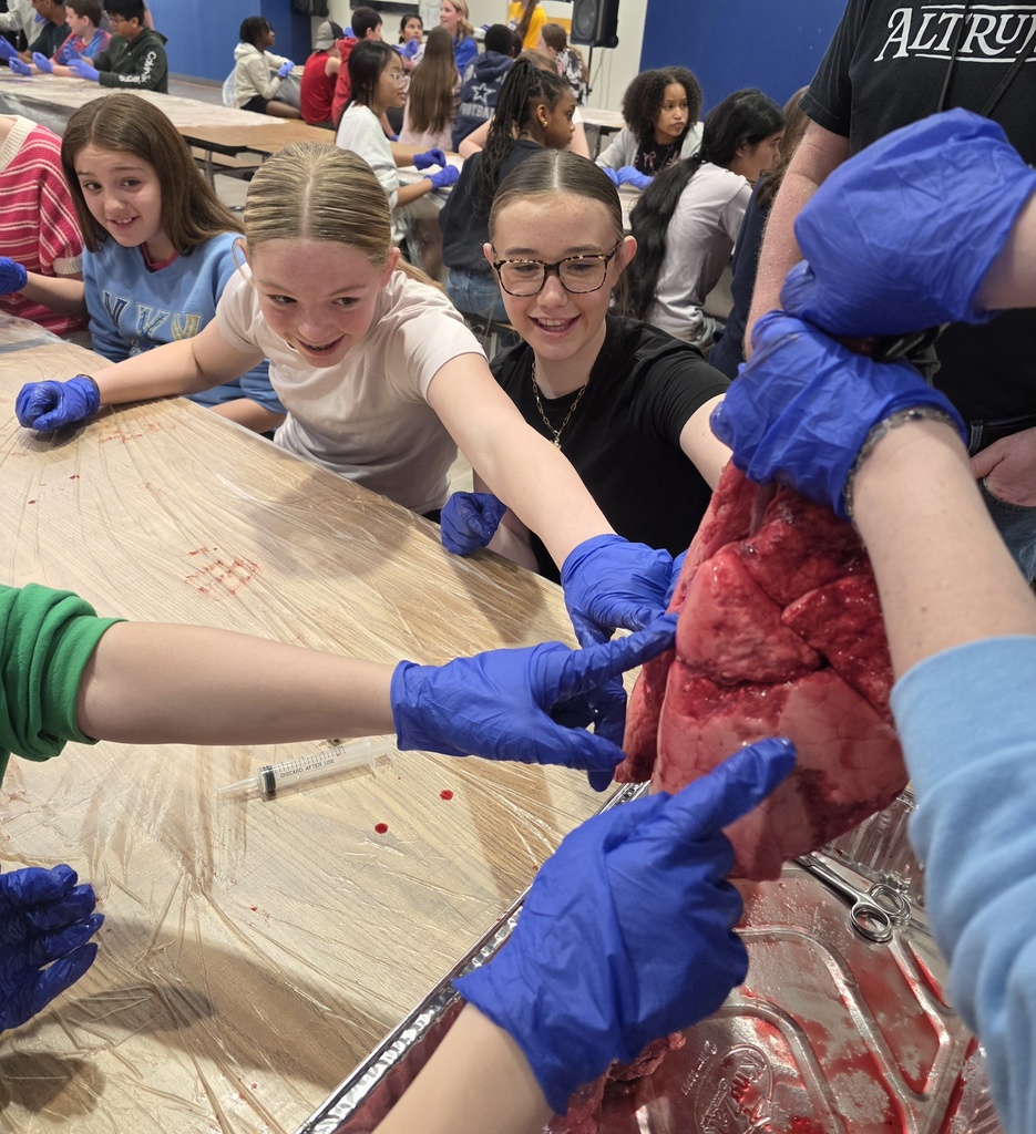 HeartandLungDissection