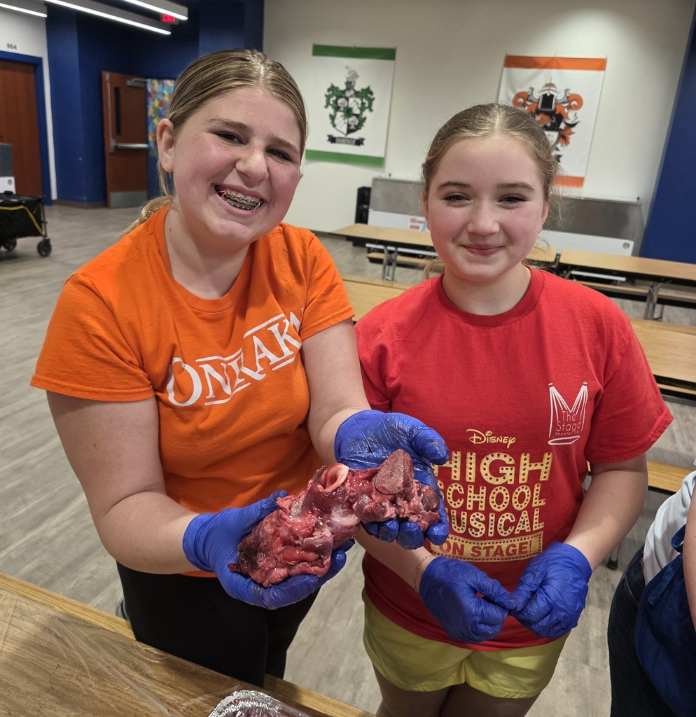 HeartandLungDissection